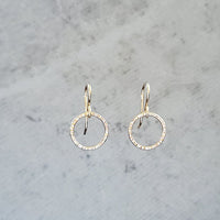 Itty Bitty 14k Gold Fill Hoop Earrings