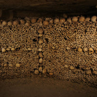 Catacombs Skull Earrings