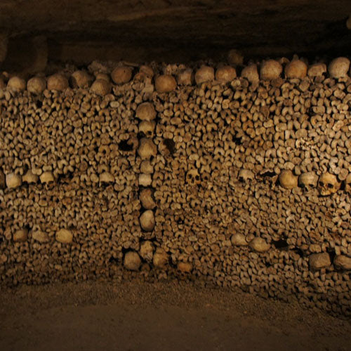Catacombs Skull Earrings